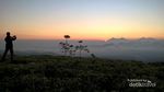 Ide Liburan Weekend Ini, ke Taman Nasional Gunung Halimun