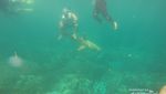 Ide Liburan Weekend: Nikmati Indahnya Pulau Pahawang di Lampung