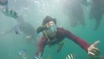 Ide Liburan Weekend: Nikmati Indahnya Pulau Pahawang di Lampung