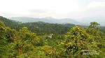 Ide Liburan Weekend: Trekking ke Kawah Ratu di Bogor