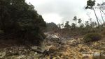 Ide Liburan Weekend: Trekking ke Kawah Ratu di Bogor