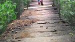 Ide Weekend Gateway Kali Ini: Hutan Pinus Cigombong, Bogor