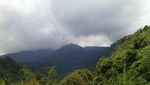 Ide Weekend Gateway Kali Ini: Hutan Pinus Cigombong, Bogor