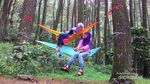 Ide Weekend Gateway Kali Ini: Hutan Pinus Cigombong, Bogor