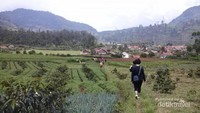 Menuju Kandang Komunal