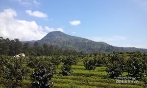 Ide Weekend: Menikmati Sejuknya Hulu Sungai Citarum