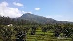 Ide Weekend: Menikmati Sejuknya Hulu Sungai Citarum