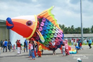 Ikan Raksasa di Natuna