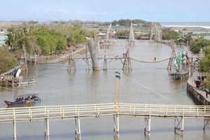 Indah Nggak Hutan Mangrove dari Kulon Progo Ini?