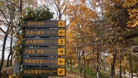 Di Seoul Forest terdapat petunjuk arah dan area mana yang ingin kita singgahi. Jadi jangan takut tersesat.