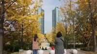 Mengabadikan momen yang indah di musim gugur di Seoul Forest