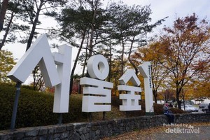 Indahnya Autumn di Seoul Forest, Korea Selatan