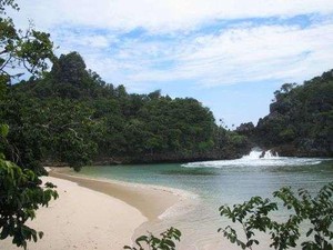 Indahnya Berkemah Beratap Bintang di Segara Anakan, Sempu