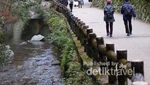 Indahnya Musim Gugur di Pinggiran Osaka
