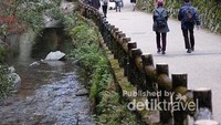 Sejuknya Taman Nasional Minoo