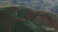 Terasering Panyeweuyan Argapura Majalengka