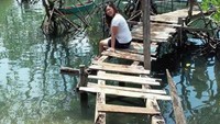 Berfoto dengan latar hutan mangrove