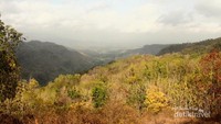 Penampakan sudut lain di Puncak Dlingo gak kalah indahnya