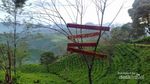 Indahnya Puncak Giri di Pagi Hari, Bikin Baper