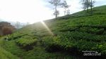 Indahnya Puncak Giri di Pagi Hari, Bikin Baper