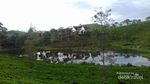 Indahnya Puncak Giri di Pagi Hari, Bikin Baper