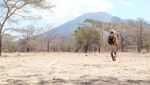 Indahnya Savana Bekol Baluran, Seperti Wallpaper di Komputer