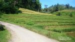 Indahnya Sunrise di Desa Agrowisata Sempu, Pacitan