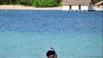 Indahnya Teluk Kiluan yang Berkilauan