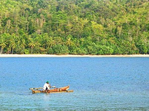 Indahnya Teluk Kiluan yang Berkilauan