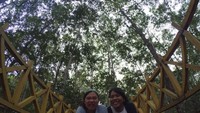Hutan Bakau