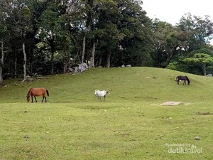 Indonesia Harus Bangga dengan Timor Tengah Selatan