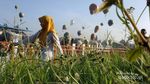 Indonesia Juga Punya Cappadocia