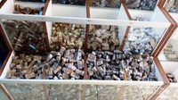 Sebelum membeli , pengunjung juga diperbolehkan mencicipi .