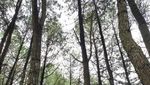 Ingin Main Lagi ke Sukabumi