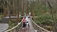 Salah satu jembatan di Golden Whip Stream