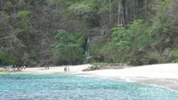 Pantai Teluk Hijau dengan Hutas yang masih asri nan hijau