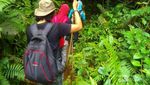Ini 3 Air Terjun Cantik dari Bengkulu
