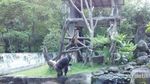 Ini 3 Tempat Wisata Ramah Anak di Yogyakarta
