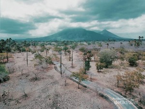 Ini 4 Destinasi Wisata instagrammable di Banyuwangi