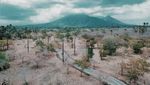Ini 4 Destinasi Wisata instagrammable di Banyuwangi