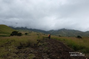 Ini Alasan Kenapa Harus Naik ke Rinjani