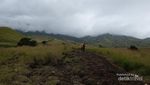 Ini Alasan Kenapa Harus Naik ke Rinjani