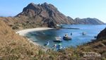 Ini Alasan Kenapa Pulau Padar Begitu Tinggi Kunjungan