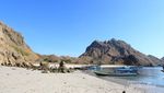 Ini Alasan Kenapa Pulau Padar Begitu Tinggi Kunjungan