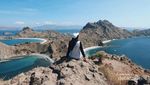 Ini Alasan Kenapa Pulau Padar Begitu Tinggi Kunjungan