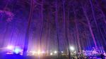 Ini Aneka Destinasi Menarik Main Seharian di Bandung