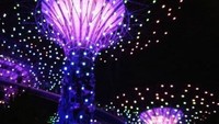 Menikmati malam di Gardens By The Bay