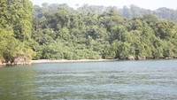 Pulau Nusakambangan dilihat dari laut