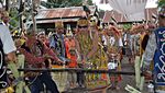 Ini Cara Dayak Taman Kapuas Hulu Bersyukur Pada Tuhan