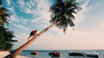 Ini Daftar Lengkap Destinasi di Karimunjawa